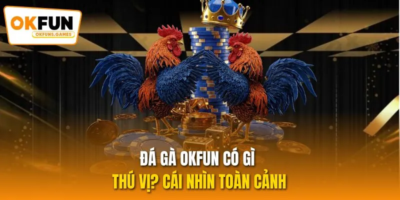 Đá gà OKFUN có gì thú vị? Cái nhìn toàn cảnh