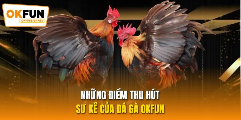 Những điểm thu hút sư kê của Đá gà OKFUN